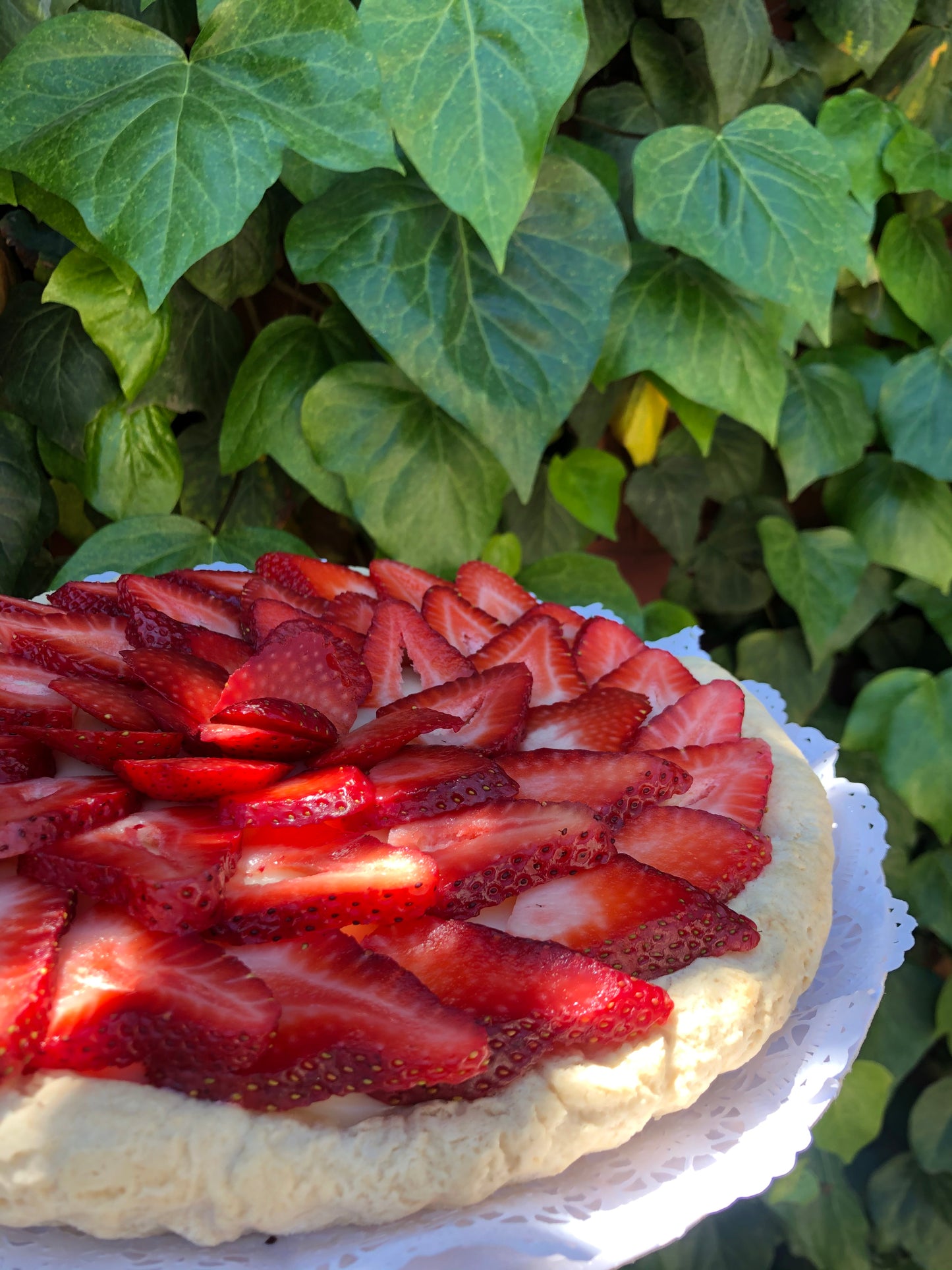 Tarta Frutilla crema